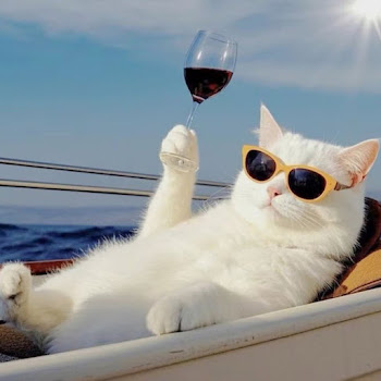 Velours - On Dat Bxtch! (Super Slowed - Instrumental)